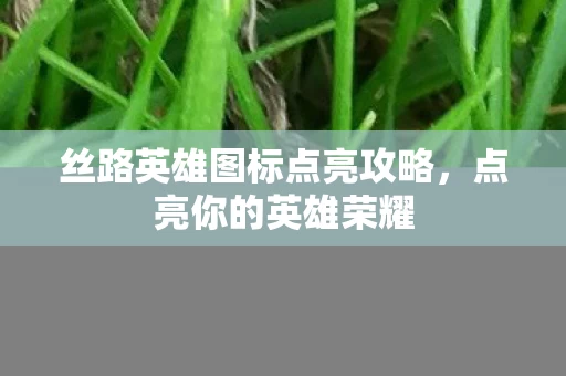 丝路英雄图标点亮攻略图片