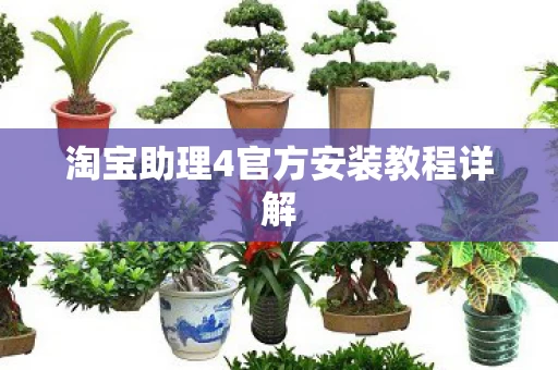 淘宝助理4官方安装教程详解图片