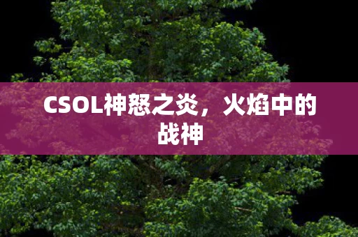 CSOL神怒之炎图片