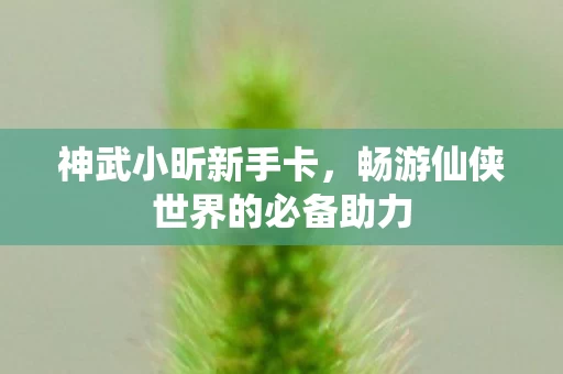 畅游仙侠世界的必备助力图片