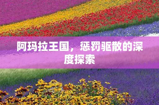 惩罚驱散的深度探索图片