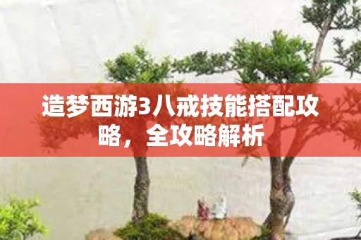 造梦西游3八戒技能搭配攻略图片