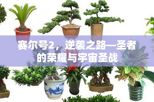 圣者的荣耀与宇宙圣战图片