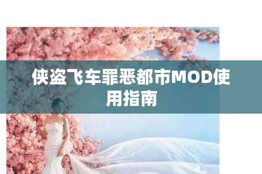 侠盗飞车罪恶都市MOD使用指南图片