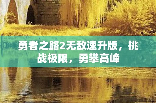勇者之路2无敌速升版图片