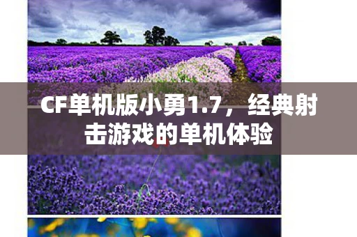 经典射击游戏的单机体验图片