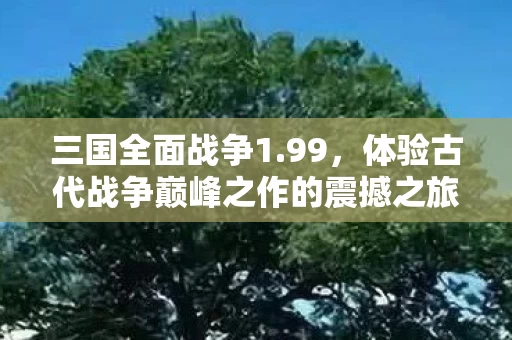 体验古代战争巅峰之作的震撼之旅图片
