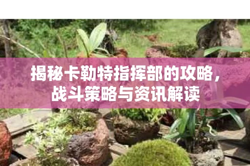 揭秘卡勒特指挥部的攻略图片