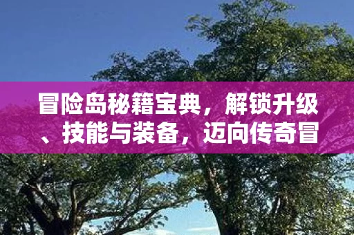 迈向传奇冒险家的巅峰之路图片