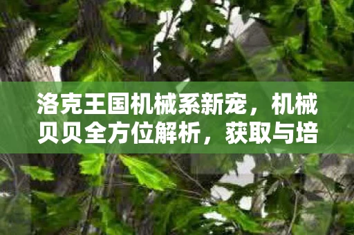洛克王国机械系新宠图片