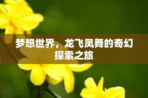龙飞凤舞的奇幻探索之旅图片