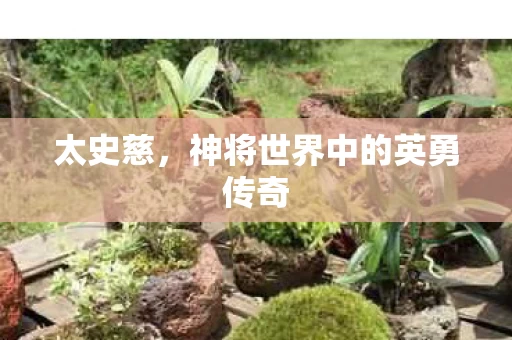 神将世界中的英勇传奇图片