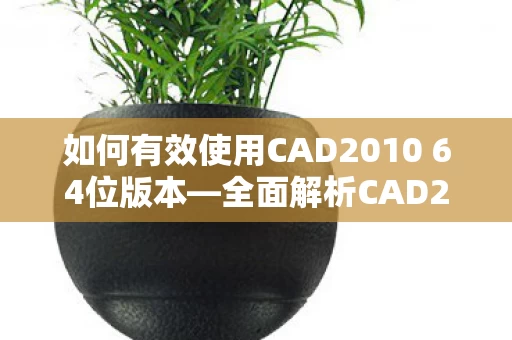 全面解析CAD2010 64位的使用方法和技巧图片