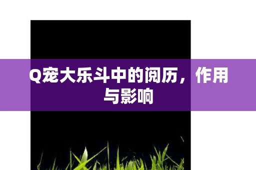 Q宠大乐斗中的阅历图片