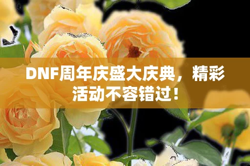 DNF周年庆盛大庆典图片