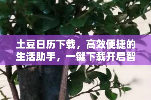 一键下载开启智能生活图片