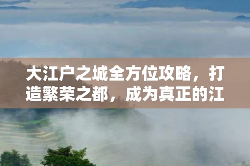 大江户之城全方位攻略图片