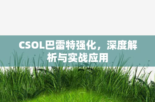 CSOL巴雷特强化图片