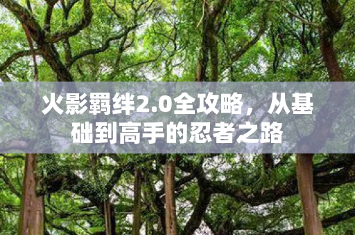 从基础到高手的忍者之路图片