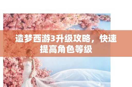 造梦西游3升级攻略图片