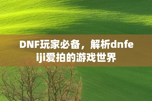 解析dnfeiji爱拍的游戏世界图片