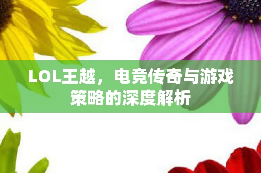 电竞传奇与游戏策略的深度解析图片