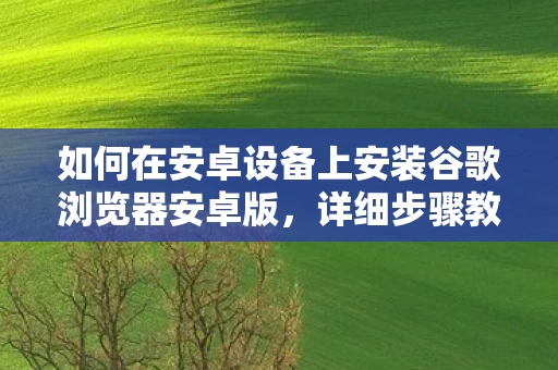 如何在安卓设备上安装谷歌浏览器安卓版图片