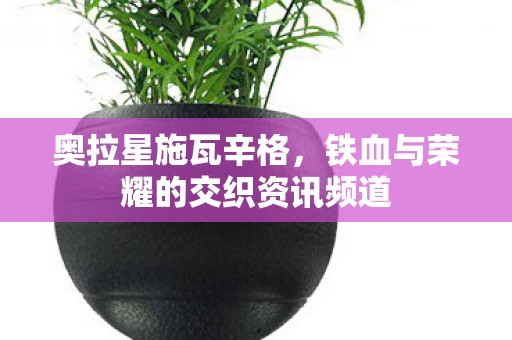 铁血与荣耀的交织资讯频道图片