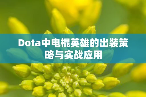 Dota中电棍英雄的出装策略与实战应用图片