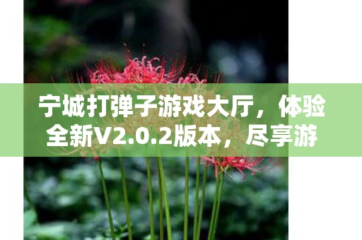 宁城打弹子游戏大厅图片