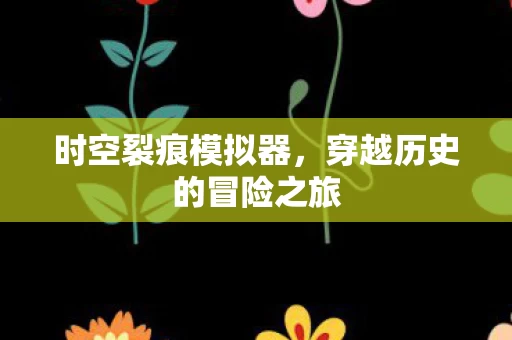 穿越历史的冒险之旅图片