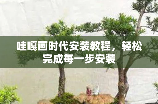 哇嘎画时代安装教程图片
