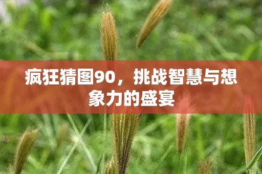 挑战智慧与想象力的盛宴图片