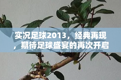 期待足球盛宴的再次开启图片