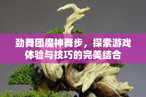 探索游戏体验与技巧的完美结合图片