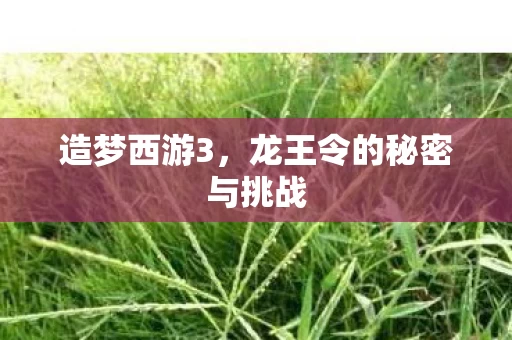 龙王令的秘密与挑战图片