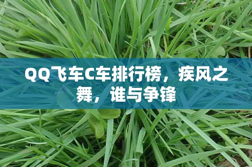 QQ飞车C车排行榜图片