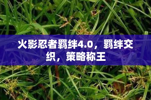 火影忍者羁绊4图片