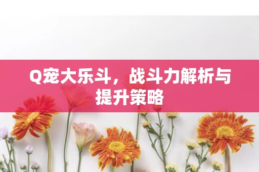 战斗力解析与提升策略图片