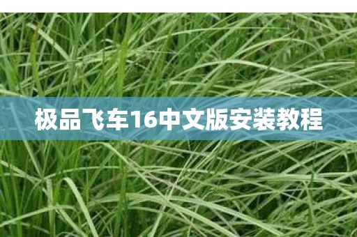 极品飞车16中文版安装教程图片