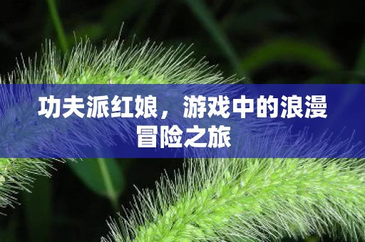 游戏中的浪漫冒险之旅图片