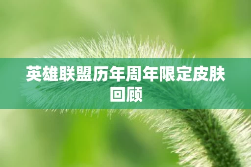 英雄联盟历年周年限定皮肤回顾图片