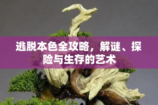 探险与生存的艺术图片