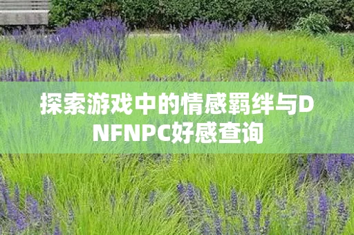 探索游戏中的情感羁绊与DNFNPC好感查询图片