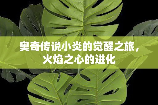 奥奇传说小炎的觉醒之旅图片