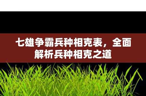 全面解析兵种相克之道图片