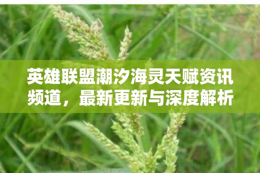 英雄联盟潮汐海灵天赋资讯频道图片