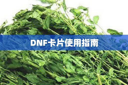 DNF卡片使用指南图片