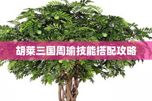 胡莱三国周瑜技能搭配攻略图片