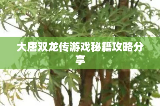 大唐双龙传游戏秘籍攻略分享图片